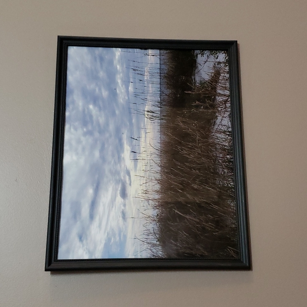 "CLOUDY OATS" Photography by Cam